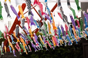 Carp streamers