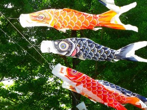 Carp streamers