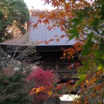 Kuhon-butsu Temple, Tokyo